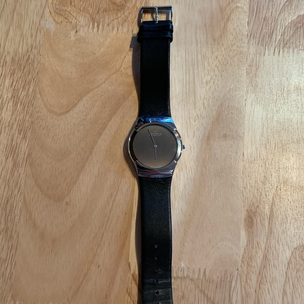 Skagen Men’s Watch
